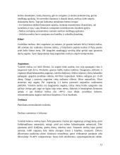 Ekologiškas prieskoninių žolelių auginimas 12 puslapis