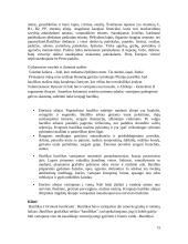 Ekologiškas prieskoninių žolelių auginimas 15 puslapis