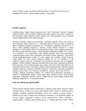 Ekologiškas prieskoninių žolelių auginimas 16 puslapis