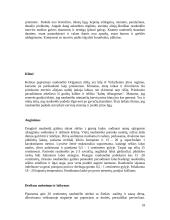 Ekologiškas prieskoninių žolelių auginimas 18 puslapis