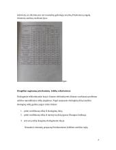 Ekologiškas prieskoninių žolelių auginimas 4 puslapis