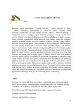 Ekologiškas prieskoninių žolelių auginimas 6 puslapis