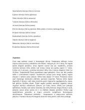 Ekologiškas prieskoninių žolelių auginimas 7 puslapis