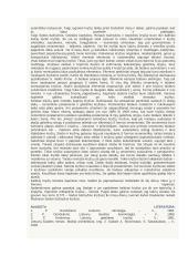 Mažoji Lietuvos architektūra 13 puslapis