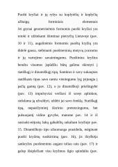 Mažoji Lietuvos architektūra 16 puslapis