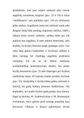 Mažoji Lietuvos architektūra 20 puslapis