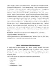 Mažoji Lietuvos architektūra 6 puslapis