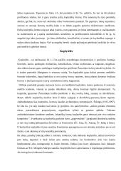 Mažoji Lietuvos architektūra 8 puslapis