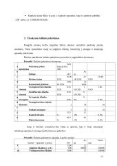 Finansų logistika 13 puslapis