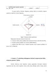 Finansų logistika 15 puslapis