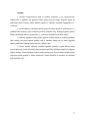 Finansų logistika 17 puslapis