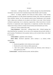 Kursinis darbas - Pagrindinės vadovo funkcijos 2 puslapis