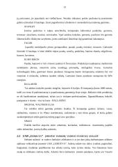 Kursinis darbas - Pagrindinės vadovo funkcijos 13 puslapis