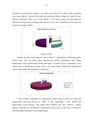 Kursinis darbas - Pagrindinės vadovo funkcijos 16 puslapis