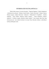 Kursinis darbas - Pagrindinės vadovo funkcijos 3 puslapis