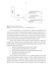 Kursinis darbas - Pagrindinės vadovo funkcijos 8 puslapis
