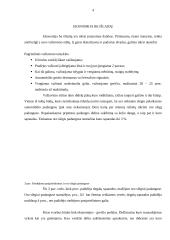 Degalų sąnaudų mažinimo būdai 4 puslapis