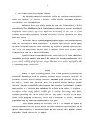 Degalų sąnaudų mažinimo būdai 7 puslapis