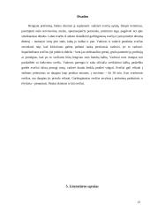 Bendravimas tarp skirtingas kultūras atstovaujančių partnerių 13 puslapis