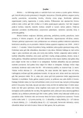 Bendravimas tarp skirtingas kultūras atstovaujančių partnerių 3 puslapis