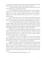 Bendravimas tarp skirtingas kultūras atstovaujančių partnerių 5 puslapis