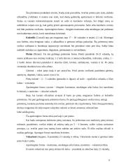 Bendravimas tarp skirtingas kultūras atstovaujančių partnerių 6 puslapis