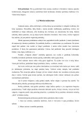 Bendravimas tarp skirtingas kultūras atstovaujančių partnerių 7 puslapis