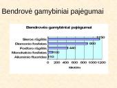 Sieros rūgšties gamyba 11 puslapis