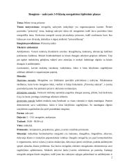 "Pelenė virsta princese" - neformaliojo ugdymo renginys 2 puslapis