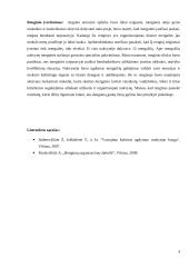 "Pelenė virsta princese" - neformaliojo ugdymo renginys 4 puslapis