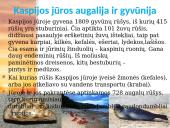 Kaspijos jūros geografija 6 puslapis
