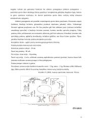 Ištvermės referatas 11 puslapis