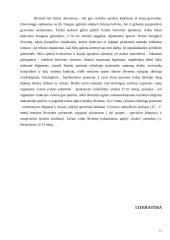 Ištvermės referatas 12 puslapis