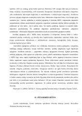 Ištvermės referatas 5 puslapis