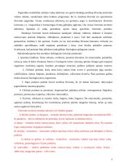 Ištvermės referatas 9 puslapis