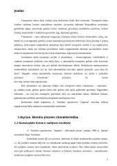 Krovinių vežimų organizavimas kelių transportu tarptautiniais maršrutais: A. Trinkūno agroservisas "Agrenta" 2 puslapis