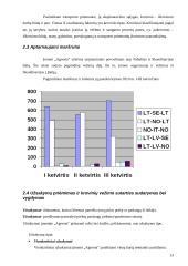 Krovinių vežimų organizavimas kelių transportu tarptautiniais maršrutais: A. Trinkūno agroservisas "Agrenta" 13 puslapis