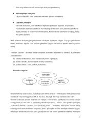 Krovinių vežimų organizavimas kelių transportu tarptautiniais maršrutais: A. Trinkūno agroservisas "Agrenta" 14 puslapis