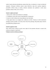 Krovinių vežimų organizavimas kelių transportu tarptautiniais maršrutais: A. Trinkūno agroservisas "Agrenta" 15 puslapis