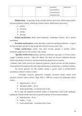 Krovinių vežimų organizavimas kelių transportu tarptautiniais maršrutais: A. Trinkūno agroservisas "Agrenta" 19 puslapis