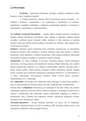 Krovinių vežimų organizavimas kelių transportu tarptautiniais maršrutais: A. Trinkūno agroservisas "Agrenta" 4 puslapis