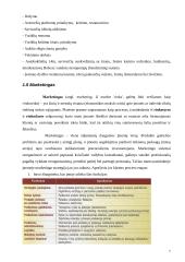 Krovinių vežimų organizavimas kelių transportu tarptautiniais maršrutais: A. Trinkūno agroservisas "Agrenta" 7 puslapis