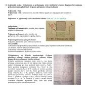 Elektrotechnikos elementai 11 puslapis