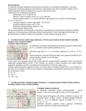 Elektrotechnikos elementai 19 puslapis