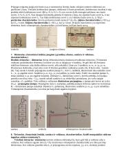 Elektrotechnikos elementai 4 puslapis