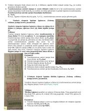 Elektrotechnikos elementai 6 puslapis