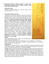 Elektrotechnikos elementai 10 puslapis
