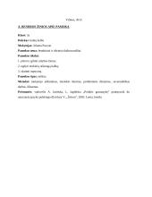 Ugdomoji pamoka 2 puslapis