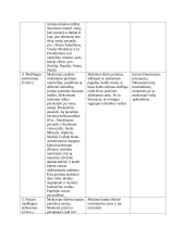 Ugdomoji pamoka 4 puslapis