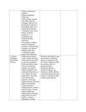 Ugdomoji pamoka 5 puslapis